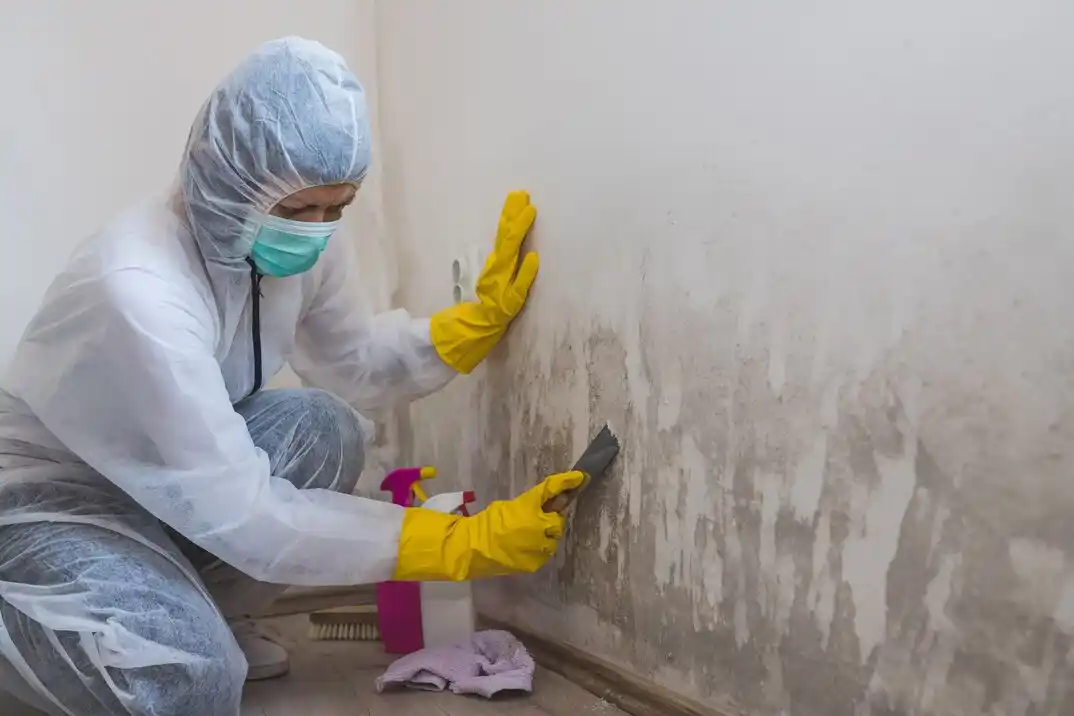 water damage restoration service Dayton View Triangle